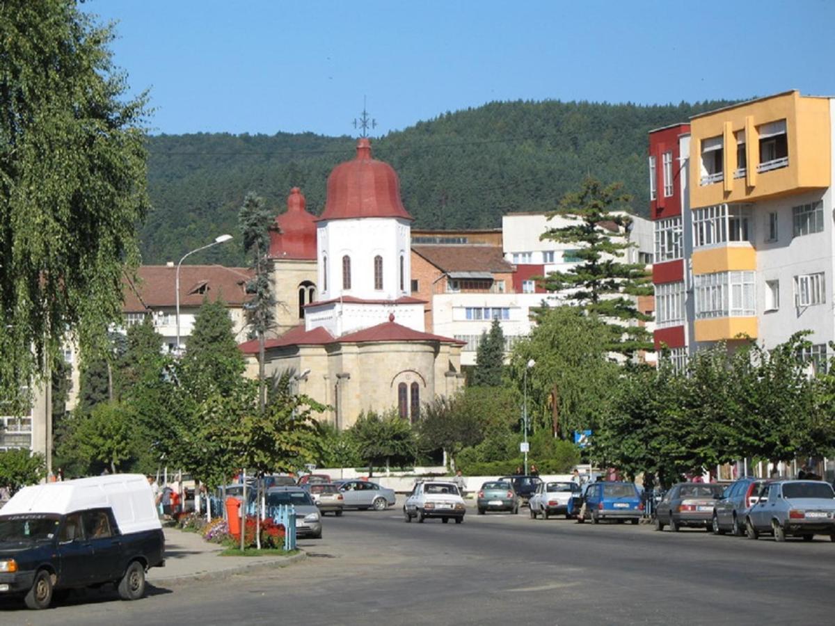 Garsoniera Jad Apartment Tirgu Ocna Exterior photo